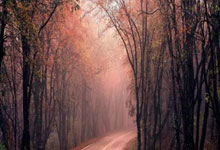 九游：播撒热爱体育的种子 奥运冠军走进安徽望江.