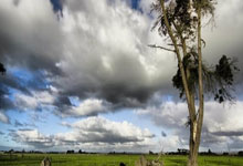 [NBA]Jr.NBA《篮少可期》：中山一中.