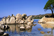 九游：欧洲冬季转会窗口开启 哪些球员可能离队？.